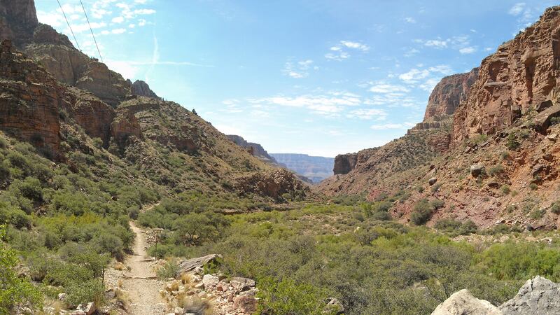 National Park Service officials say a man died while trying to hike from the Grand Canyon's...