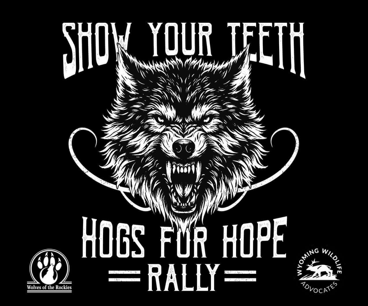 National motorcycle rally for tortured wolf pup comes to Amarillo - Vimarsana News