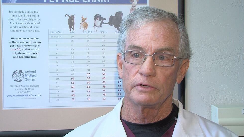 "The best thing to do is make sure your pet is up to date with their vaccinations and that...