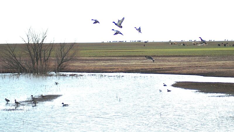 Playa Field Day (Source: Ogallala Commons)