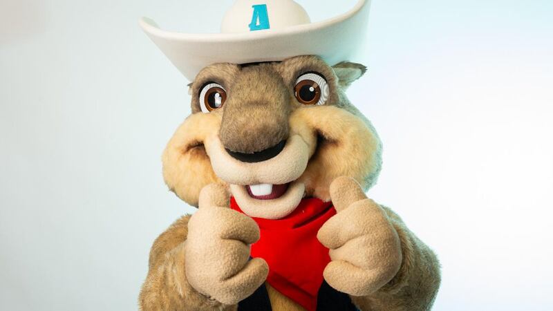 Today the Amarillo Sod Poodles announced fans raised $38,007 from the June 17 game to assist...