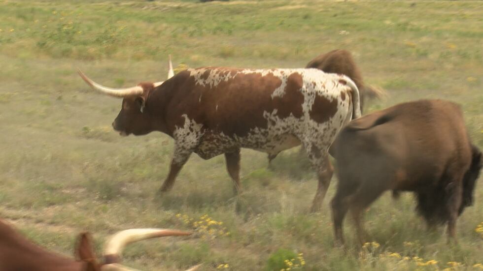 Guymon city officials continue to work on improving the town. (Source: KFDA)