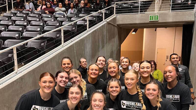 Bushland volleyball